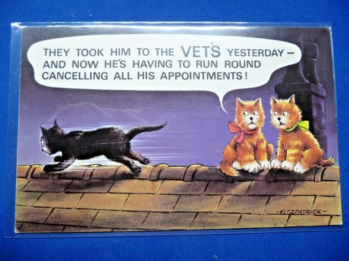 Bamforth Comic 500 Series Postcards Saucy Humour / Rude! Unused 1970s NEW STOCK - Picture 46 of 53