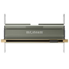 Mr Steam Linear 16 in. Steam Head With AromaTray in Satin Brass