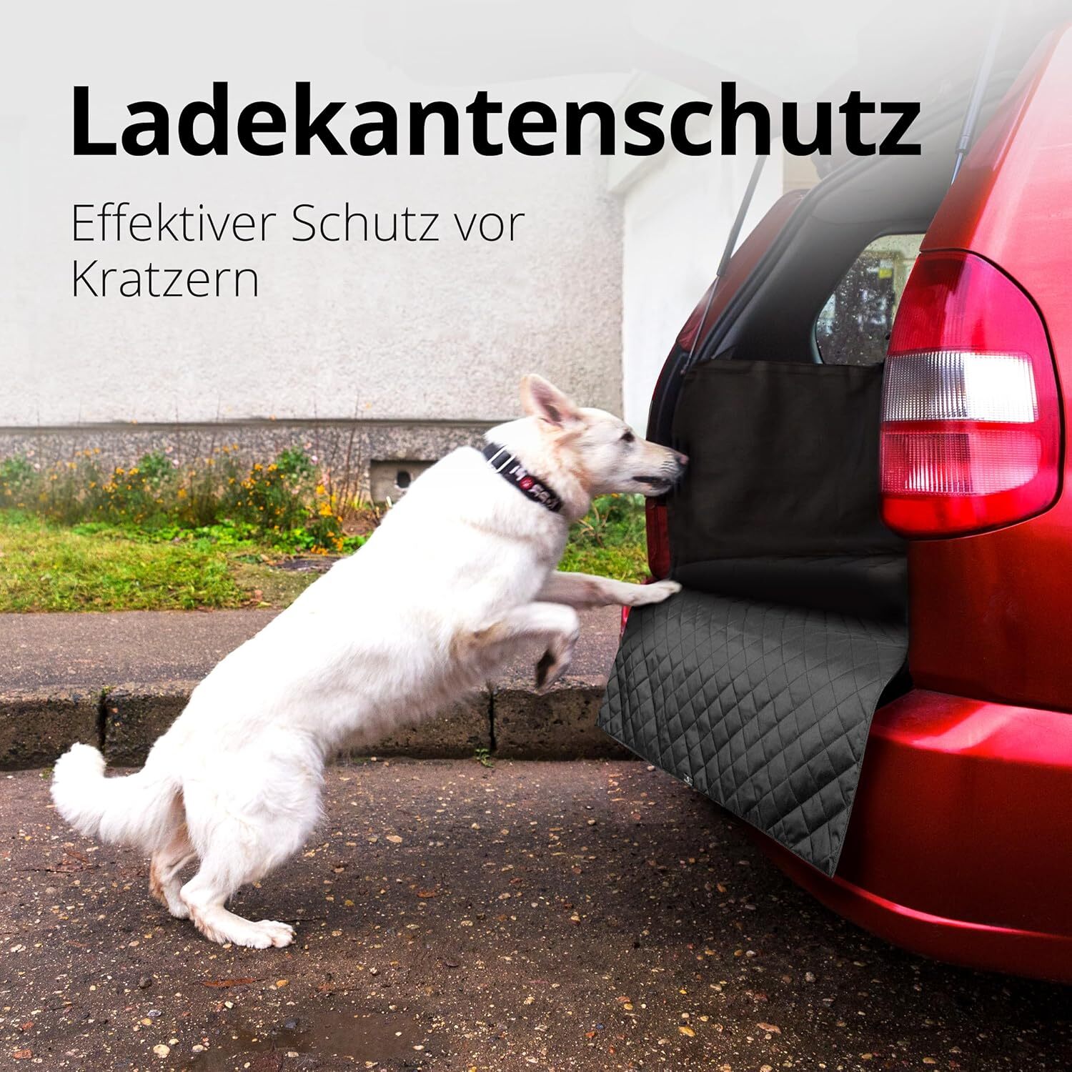 Walser Kofferraumschutz Hund - robuste 330gqm Kofferraum Schutzmatte Hund