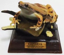 Mini Figure Japanese Tree Frog "Nature Technicolor Japanese Frog"