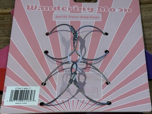 WANDERING MOON Etichette Bagaglio~Set di 3~CANI PALLONCINO 4”x 5” Pastelli NUOVE Altro - Foto 5 di 7