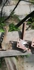 Bild 17 von 22