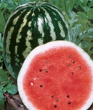 Crimson Sweet Watermelon, Heirloom Watermelon Seed, NON-GMO, 25 Seed Packet