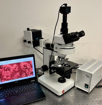 Leitz Wild Laborlux K Fluorescence Microscope Tinoc + Arc Lamp system