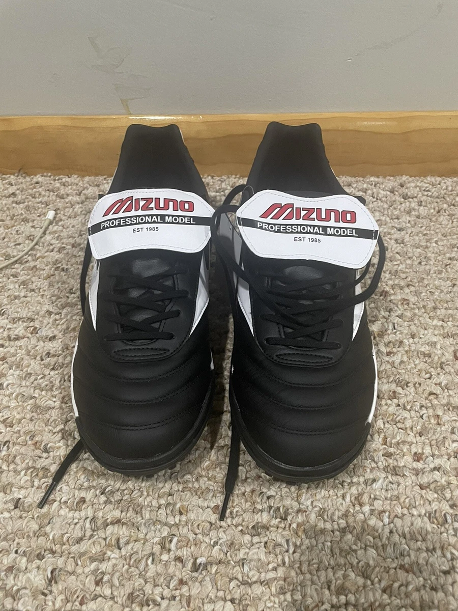 Mizuno professional cheap model