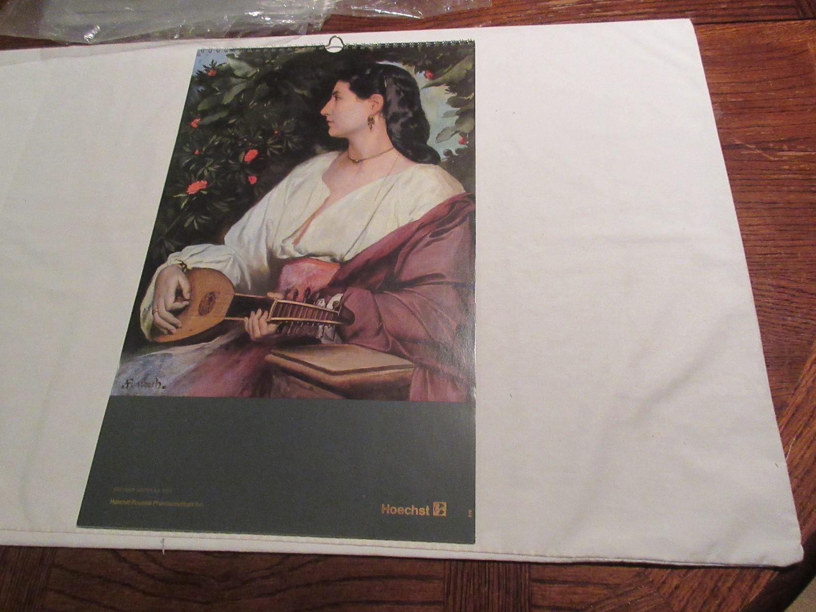 Rx , HoechstRoussel Pharmaceuticals Inc . ,1991 Calendar , 18 1/2" X