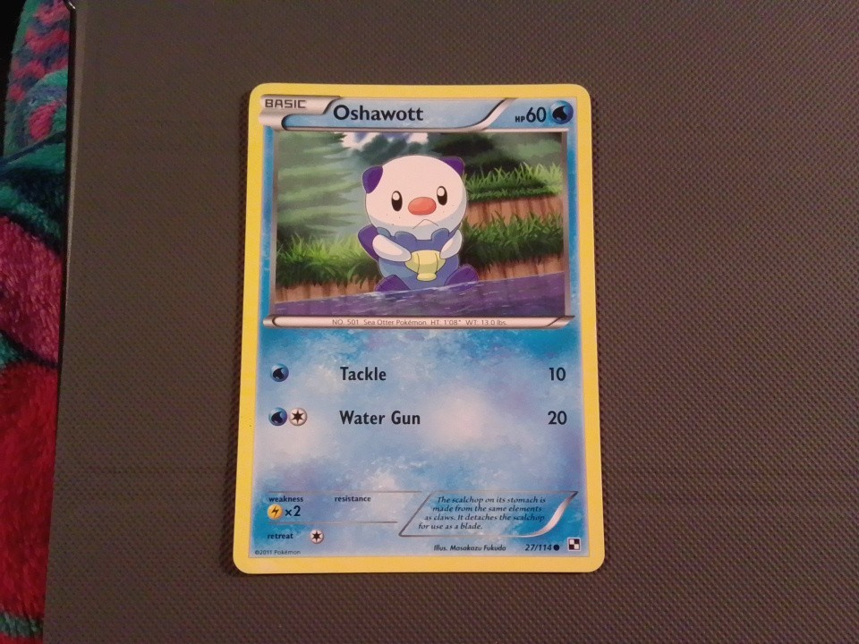 Y- Oshawott 27/114 Pokemon Black and White NM