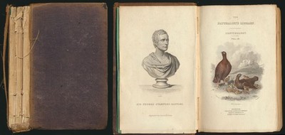 Jardine, The Naturalist´s Library. Ornithology. Vol. IV. Edinburgh, 1834.