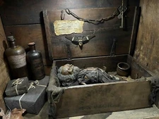 Mummified Gnome Sculpture in 19th Century wooden box