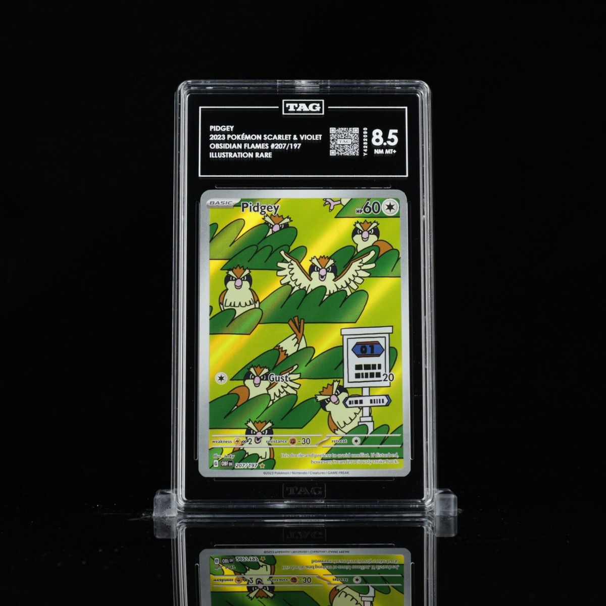 Pidgey 207/197 SV03: Obsidian Flames Holo for sale online | eBay