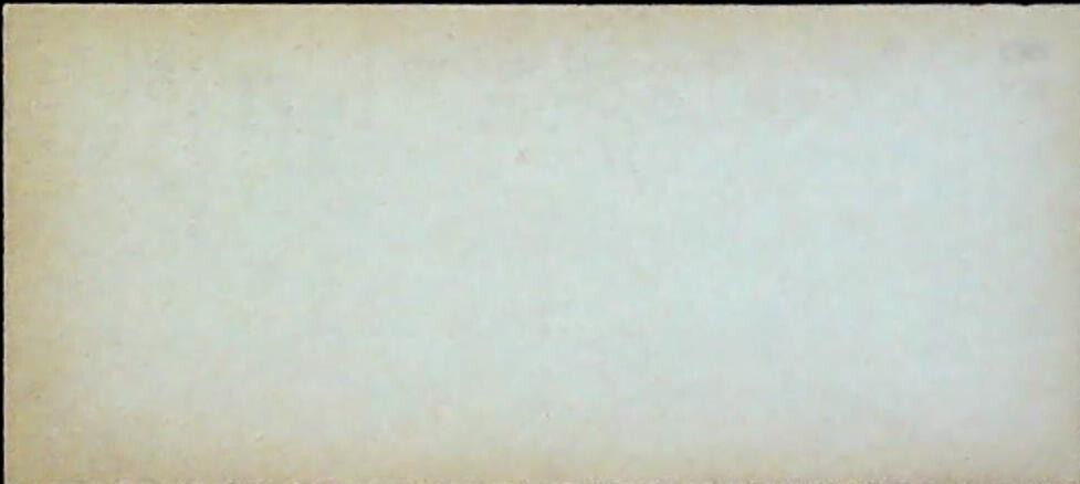 Bild 2 von 2