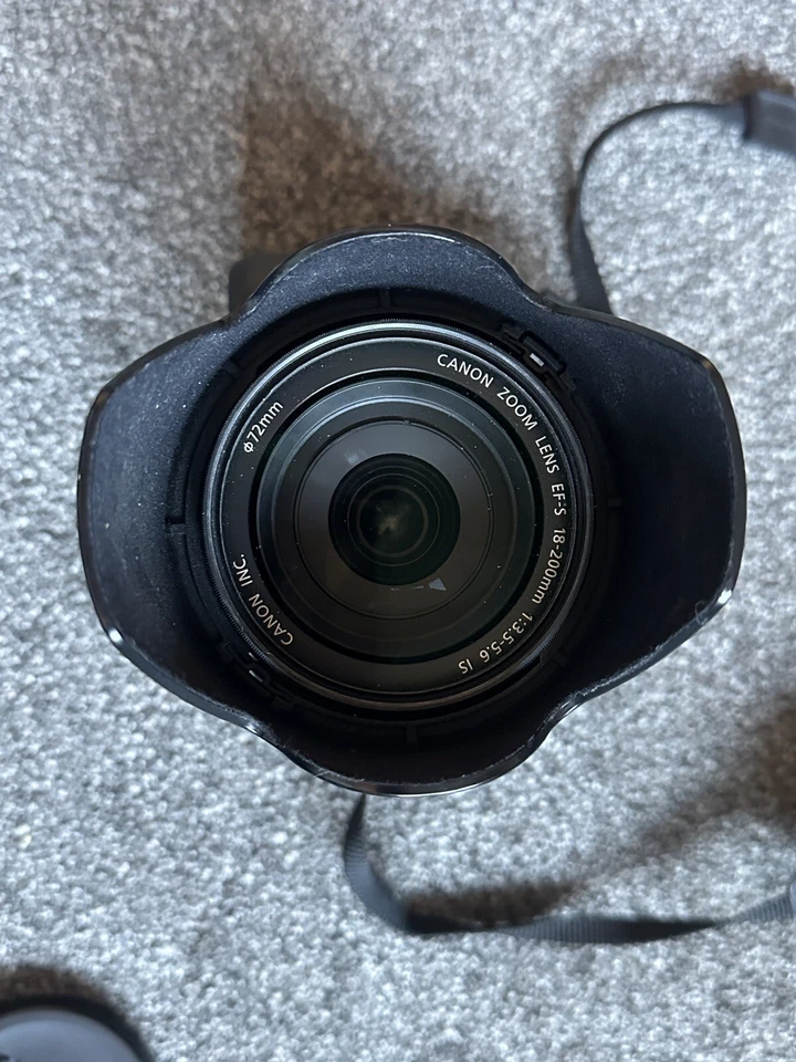 Canon EOS 80D, photo 4 of 5