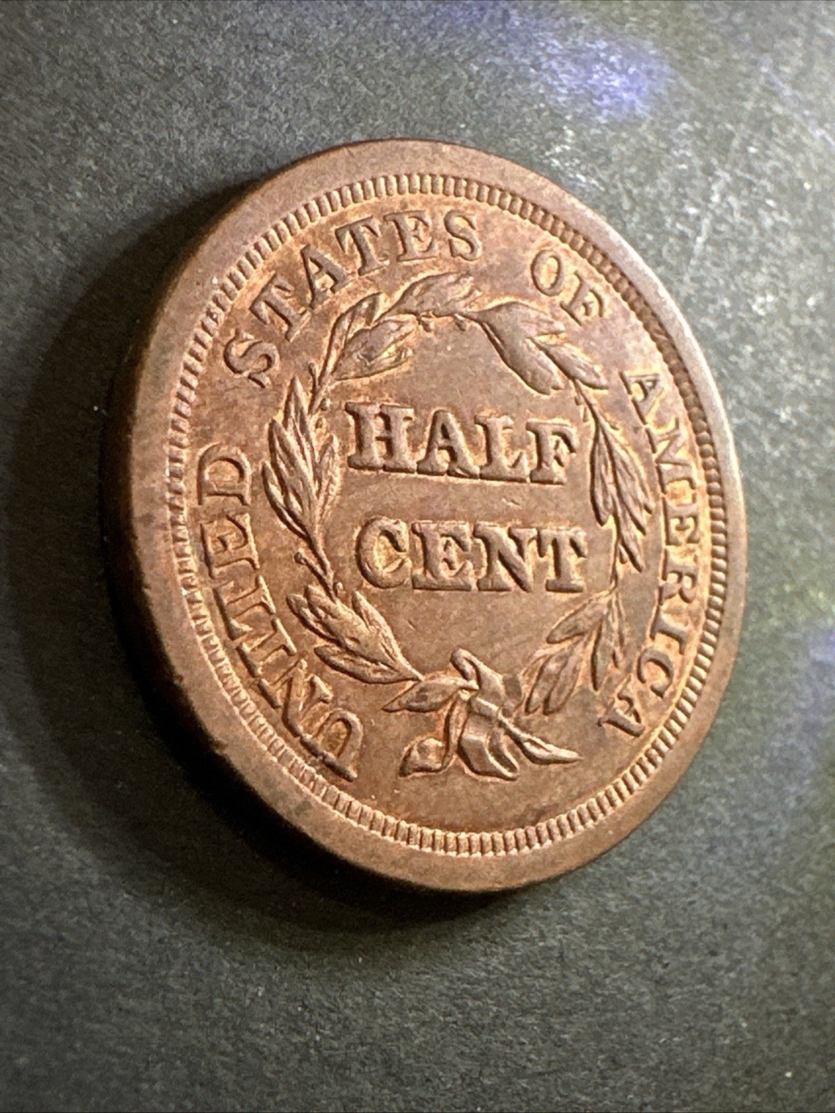 Picture 19 of 24