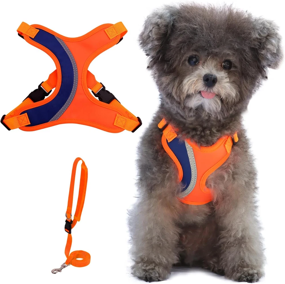 _ Dog Harness and Leash Set for Small Sized Dogs, Lightweight & Soft Puppy Harne _ Dog Harness and Leash Set for Small Sized Dogs, Lightweight & Soft Puppy Harne