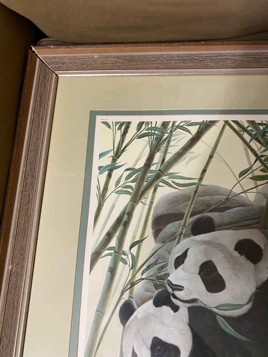 John A Ruthven (b1924)) 