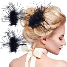 OIIKI 2Pcs Black Ostrich Hair Clip, Feather Hairgrip Retro Hair Jewelry Acces...