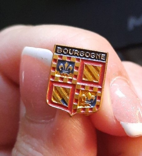 Ancienne Broche émaillée Epinglette Blason Au Armes De Lisieux 2