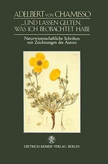 Und lassen gelten, was ich beobachtet habe von not speci... | Buch | Zustand gut