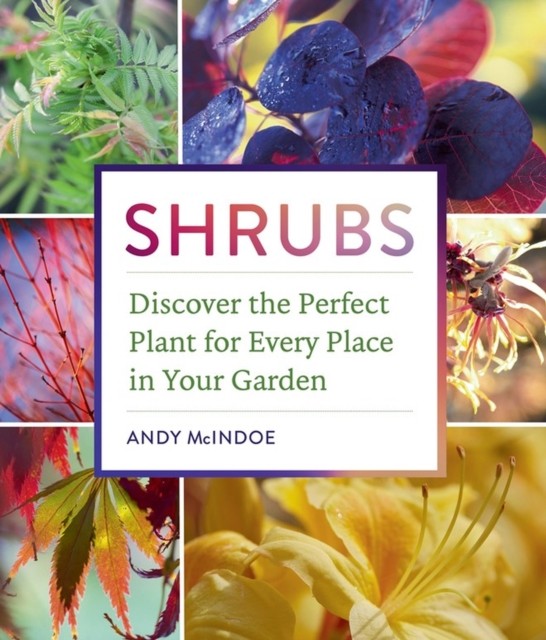 Shrubs by Andy McIndoe (Hardback Book)