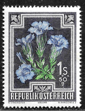 HICK GIRL-MINT AUSTRIA STAMP  SC#B243  1948   SEMI-POSTAL  FLOWER ISSUE     C815