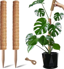 Stackable 17" moss poles, 2-pack, for climbing plants like Monstera, Pothos