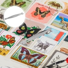 10 Pcs Tweezers for Stamp Collecting Accessories Stainless Straight Flat Tip