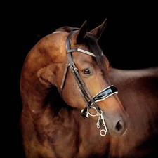 'Adeline' luxury leather bridle - (double)