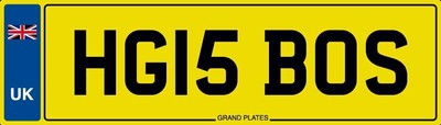 HG IS BOSS NUMBER PLATE INITIALS CAR REG HG15 BOS FEES PAID HARRY HARVEY HENRY