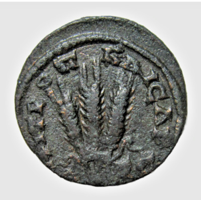 CAPPADOCIA, CAESAREA. AE 20. SEVERUS ALEXANDER, 222-235AD. 3 GRAIN EARS REVERSE.