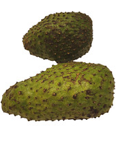 SPECIAL 3 Pounds Organically Grown Soursop Fruit/ Guanabana / Fresh Rare