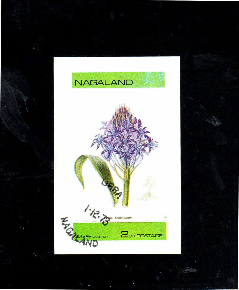 NAGALAND OF INDIA 1973 FLOWER MINT VF NH O.G S/S CTO (nag1) | eBay