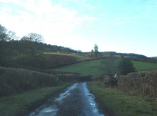 Photo 6x4 Darky Dale Lane Bedstone View northwards along an exciting and  c2008