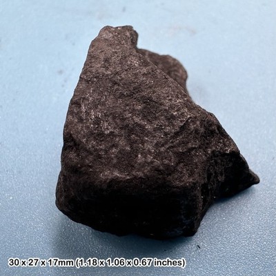 Steinkohle - UK Bildung Sedimentgestein, authentisch, UK-Verkäufer