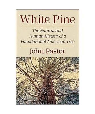 White Pine: The Natural and Human History of a Foundational American Tree, John 