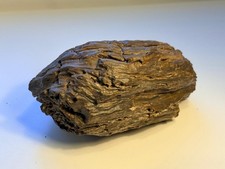 Versteinertes Holz Sahara Libyen 1240 g