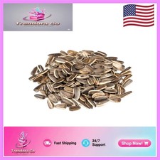 Versatile Nutritious Jumbo Unsalted Sunflower Seeds 2 lbs - Allergen-Free