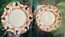 Myott Sons & Co. “The Regal” Floral Pattern Dinner Plate 9.75” & Salad Plate 8”