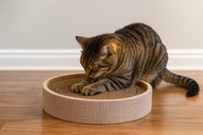 Cat Scratcher, cardboard insert large 15 inchs