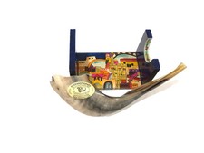 Authentic Ram's Horn Shofar Made In Israel - Bar-Sheshet A. Ribak 13 1/2  inch