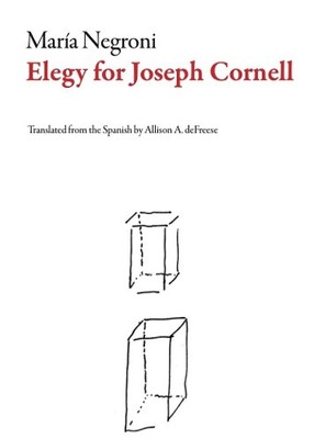 Mara Negroni Elegy for Joseph Cornell (Taschenbuch) Argentinian Literature
