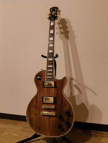 Epiphone Les Paul Custom Pro koa Safe Packing!