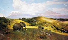 Wilhelm Kuhnert Afrika Elefanten Kilimandscharo Tansania Nationalpark Safari