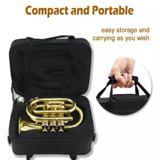 golden Bb Brass Pocket Trumpet Nice with Case Mouthpiece Cleaning Cloth Gift Kit