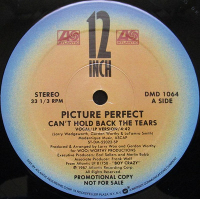 PICTURE PERFECT Can't Hold Back The Tears (1987 U.S. Double Side A Promo 12inch)