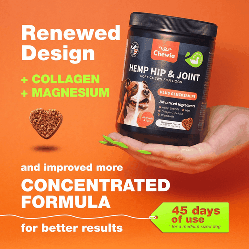 Glucosamine for Dogs Hip and Joint Supplement for Dogs Chondroitin Chews MSM - Bild 2 von 9