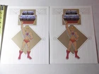 2 Folders lot Vtg 1980's Masters of the Universe He-man Skeletor