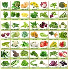 Vegetable And Fruit Seeds Combo For Home And Garden - Pack Of 50