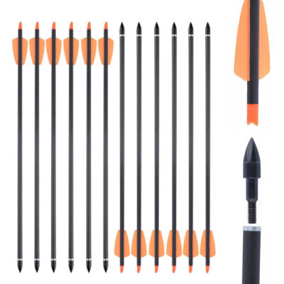 12 Flèches Carbone TOPARCHERY – Spine 350 – 15" – OD 7.5mm – Chasse à L'arc