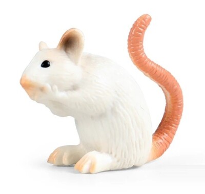 Mus Musculus Mouse Animal Toy PVC Action Figure Kids Toys