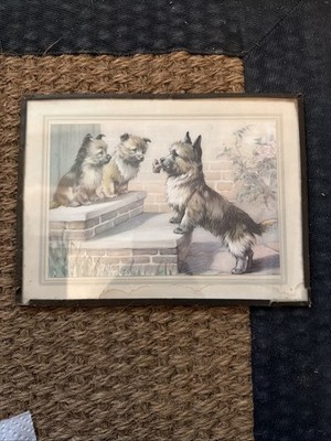 Vintage Druck von Hunden hinter Glas. Französisch ? 24x18cm